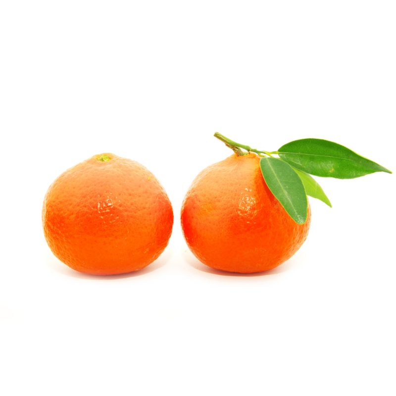 fruta mandarina Afourer Frescosur