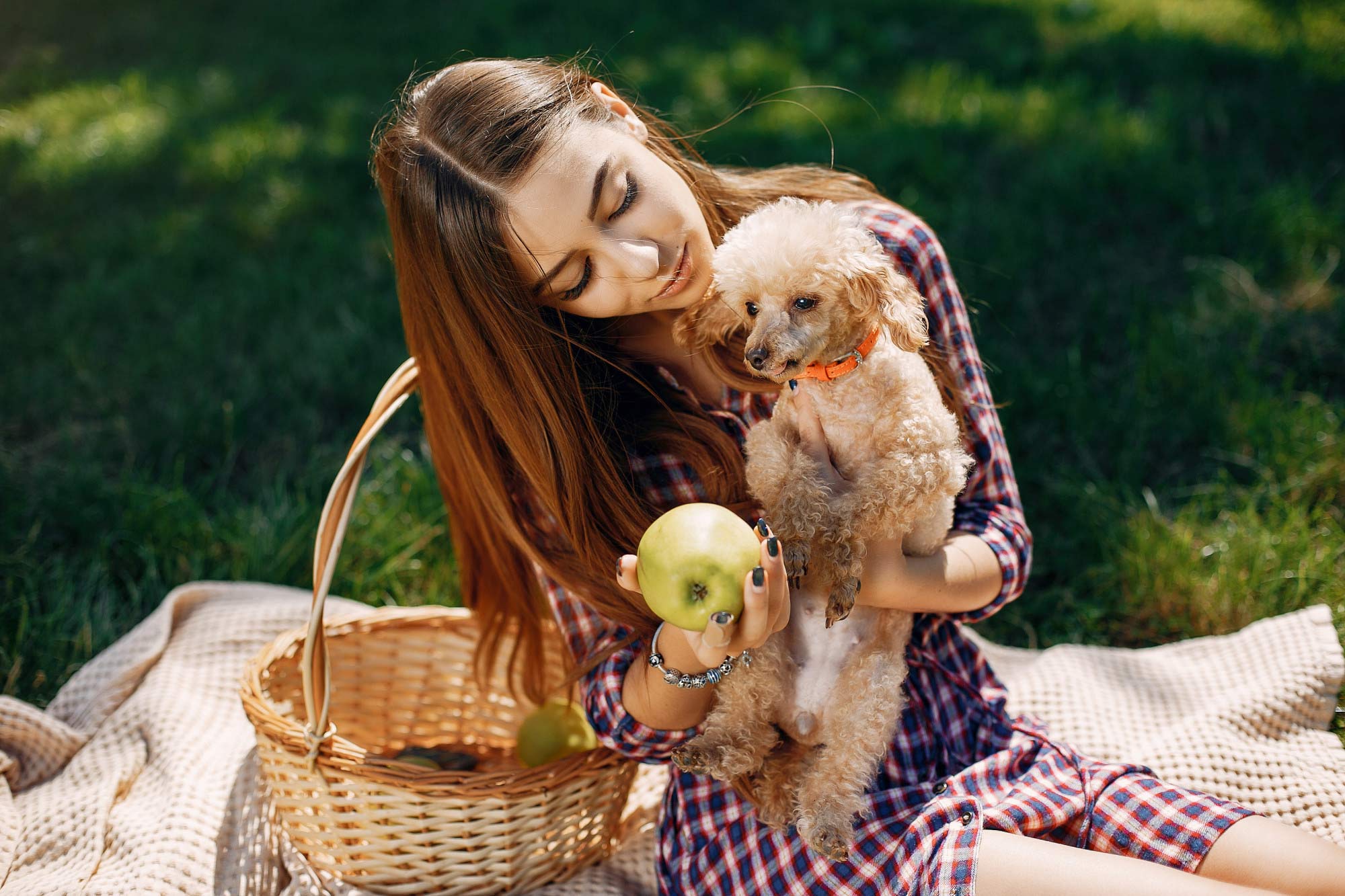 a los perros les gustan las manzanas